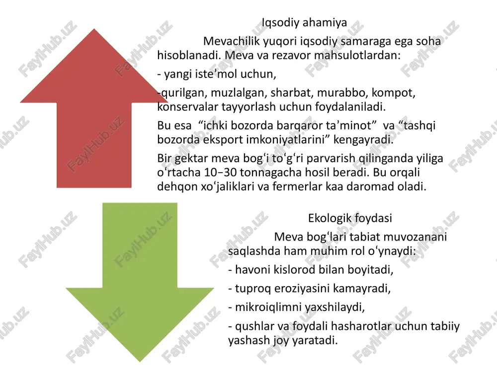 chun qulaylikni ta’minlashdir. b) daraxtlar orasidagi masofa har bir meva turi uchun ma’lum masofa belgilangan. masalan: - olma, nok — 5×4 m - shaftoli, o‘rik — 5×3 m -gilos, olcha — 4×3 m -anor, uzum — 3×2 m masofa daraxtning o‘sish kuchi va naviga qarab aniqlanadi. 2. reja tuzishda e’tibor beriladigan omillar a) maydon shakli va relefi bogʻning tabiiy shakli (tekis yoki nishab) rejalashtirishda muhim ahamiyatga ega. tekis joylarda qatorlar shimoldan janubga yo‘nalgan bo‘lishi tavsiya etiladi — bu holatda daraxtlar teng quyosh nuri oladi. nishab joylarda esa qatorlar relefga mos, suv oqimini to‘xtatmaydigan yo‘nalishda joylashtiriladi. c) qatorlar yo‘nalishi qatorlar shimoldan janubga yo‘naltirilsa, har bir daraxt teng darajada quyosh nuri oladi va hosildorlik ortadi. d) sug‘orish tizimini joylashtirish reja tuzishda sug‘orish tarmoqlari (ariqlar, tomchilatib sug‘orish liniyalari) oldindan belgilanadi. suv har bir daraxtgacha yetib boradigan qilib tashkil etiladi. e) yo‘lak va xizmat yo‘llari bogʻda texnika harakati va hosilni tashish uchun xizmat yo‘laklari …