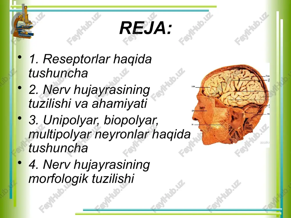 t akcoh apo eno heapoha — okohwahha akcoha heapohambhar ket. aperwectbehhmk ¥ t ay | vy, nes a hepshble bonokha: ~~~ cnmhhomosrobbie —— agpuratenbhbie — 4ybctbhtenbhbie /docprops/thumbnail.jpeg