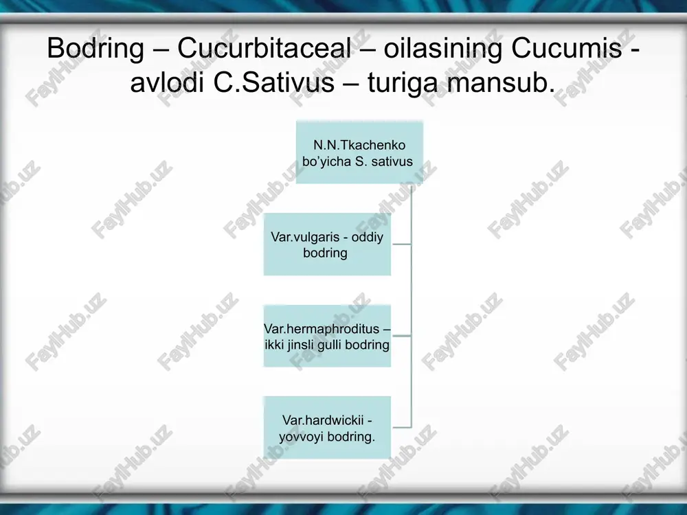 igan, shuningdek, asosan erkak va urg’ochi gul tugib, qisman 2 uyli bo’ladigan xillari ham bor. selektsiyada geterozisni yuzaga chiqarish uchun ularning ana shunday xususiyatidan foydalanadi. bodringda, ayniqsa issiq xonalarda o’stiriladigan yirik mevali navlarida partenokarpiya hodisasi keng tarqalgan. urug’i bo’lmaydigan mevalar ochilgan mevalarning tovarlik sifatlarini uzoqroq saqlab qolishga va mevalarni ko’proq vaqt oralatib, kamroq marta yig’ib olishga imkon beradi. o’simliklardagi jami urg’ochi gul­larning o’rtacha 56.7 –66.7 % gullarida mevalar hosil bo’ladi, to yetil­guncha esa 27% mevalar saqlanib qoladi. mevalarda o’rtacha 196-225 ta, bir to’p o’simlikda esa 1052-1093 ta urug’ hosil bo’lgan. bundan tashqari 11-14% yetilmagan urug’lar hosil bo’lgan. yetilish davrining oxiriga kelib (45-50 kunlik) urug’larning 1000 tasining og’irligi – 28 gr, unuvchanligi – 96-98% ni tashkil etadi. umuman o’rtacha bodringda 1000 dona urug’ og’irligi 15-25 gramm bo’lib, 1 kg da 40-60 mingta urug’ bo’ladi, 1m3 hajmda omborxonada 600-650 kg urug’ saqlash mumkin. bodring urug’i 6 – 8 yil unuvchanligini saqlash mumkin, …
