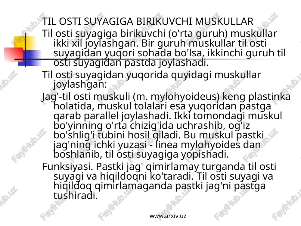 yotadi. old tomondan halqum va qizilo'ngach bilan yopilib turadi. funksiyasi. muskullar ikki tomondan baravar qisqarsa, bo'yin oldinga, bir tomondan qisqarsa, yon tomonga bukiladi. innervatsiyasi: bo'yin chigali c^-c^ dan. qon t o m i r 1 a r i: a. vertebralis, a. cervicalis ascendyeus. a. cervicalis profunda. boshning uzun muskuli (m. longus capitis) ih-vi bo'yin umurtqalaridan boshlanib, ensa suyagining pars basilaris iga yopishadi. funksiyasi. ikkala tomon baravar qisqarsa, bosh oldinga bukiladi. www.arxiv.uz www.arxiv.uz bo'yin uchburchaklari bo'yin muskullari o'zining joylashishiga qarab bir qancha soha va uchburchaklarni tashkil etadi. bu uchburchaklar qon tomir va nervlarni o'rganishda va jarrohlikda muhim ahamiyatga ega. bu uchburchaklar quyidagilar. bo'yinning yonbosh uchburchagi (trigonum colli laterale) oldindan to'sh-o'mrov-so'rg'ichsimon muskul, orqadan trapetsiyasimon muskul (m. trapezius), pastdan o'mrov suyagi bilan chegaralanadi. bu uchburchak kurak-o'mrov muskuli orqali kurak-o'mrov (trigonum omoclaviculare) va ko'krak trapetsiyasimon uchburchaklari (trigonum omotrapezoideum) ga ajraladi. ko'krak-o'mrov uchburchagi pastdan o'mrov suyagi, tepadan kurak-til osti muskulining pastki qorinchasi, oldindan to'sh-o'mrov-so'rg'ichsimon muskullar …