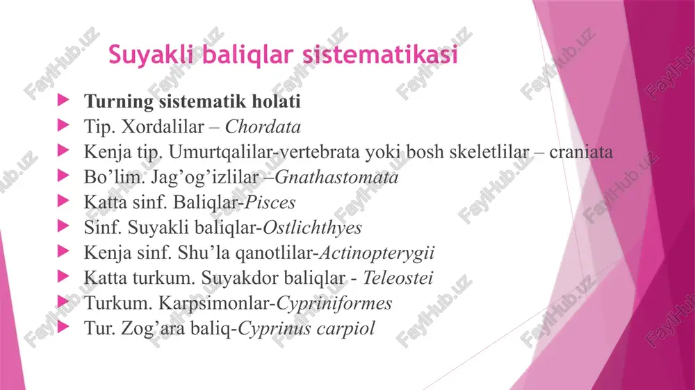lar tutashib, orqa miya kanalini hosil qiladi. bu erda yoylarning o’tkir o’simtalari bo’ladi. tana bo’limidagi ostki yoylar tutashmaydi, o’tkir o’simtalari yo’q va ularga qovurg’alar kelib qo’shiladi. umurtqalar tana bo’shlig’ini faqat yuqoridan emas, balki yon tomondan ham chegaralashi bilan tog’ayli baliqlardan farq qiladi. dum bo’limida umurtqalarning ham ostki, ham ustki yoylarida o’tkir o’simtalar bo’ladi. ularning o’zaro tutashishidan gemal kanal hosil bo’ladi. bosh skeleti ko’p qismi ustma–ust joylashgan yoki xondral suyakdan kelib chiqan. suyakli baliqlarning gavda va dum umurtqalarining tuzilishi (yon va oldi tomondan ko’rinishi):1-umurtqa tanasi; 2-yuqorigi yoyi; 3-orqa miya kanali; 4-ko’ndalang o’simtalar; 5-qovurg’a; 6-yuqorigi qiltanoq o’simta; 7-qo’shimcha o’simtalar; 8-pastki yoy; 9-gemal kanal; 10-pastki qiltanoq o’simta. suyakli baliqlar bosh skeletining tuzilishi: 1-pastki ensa suyagi; 2-yon ensa suyagi; 3-ustki ensa suyagi; 4-quloq suyaklari; 5-asosiy ponasimon suyak; 6-qanot-ponasimon suyak; 7-ko’z-ponasimon suyak; 8-oraliq hidlov suyagi; 9-yon hidlov suyagi; 10-bosh tepa suyagi; 11-peshona suyagi; 12-burun suyagi; 13-parasfenoid; 14-dimog’ suyagi; 15-tang’lay suyagi; 16-kvadrat suyagi; 17-qanotsimon suyak; 18-jag’aro …