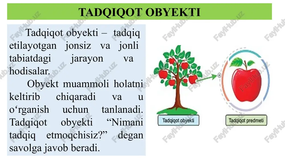 ops/thumbnail.jpeg ‘tabity fanlarning ‘tadqiqot obyekti lindagctnimar 2 aly far ian samedi?” sha pn is in simi omen yr smal aerated el ie tweeter ‘sim wh neh tne sie ais pee