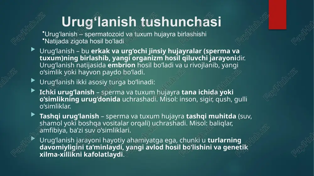 ra, kurbaqa), ba’zi suv o‘simliklari urug‘lanish usuli suvga yoki tashqi muhitga tuxum va sperma chiqarish afzalliklari ko‘p miqdorda urug‘ hosil bo‘ladi kamchiliklari urug‘ning katta qismi nobud bo‘lishi mumkin, xavf yuqori qo‘sh urug‘lanish tushunchasi qo‘sh urug‘lanish – ikkita sperma hujayra tuxumga kirishi ko‘pincha o‘simliklar va ba’zi hayvonlarda uchraydi qo‘sh urug‘lanish – bu o‘simliklarda (asosan gulli o‘simliklarda) urug‘don ichidagi ikki sperma hujayraning ikki turli vazifani bajarishi bilan sodir bo‘ladigan urug‘lanish jarayonidir. jarayoni: bir sperma tuxum hujayrani urug‘lantiradi va embrion hosil bo‘ladi. ikkinchi sperma urug‘don ichidagi endospermani hosil qiladi, bu o‘suvchi embriyon uchun oziq moddalarni ta’minlaydi. ahmiyati: urug‘ning rivojlanishi uchun zarur oziq moddalarni ta’minlaydi. urug‘ hayotiyligini oshiradi. populyatsiya va tur davomiyligini saqlashga yordam beradi. qo‘sh urug‘lanishning biologik ahamiyati genetik xilma-xillikni oshiradi moslashuvchanlikni kuchaytiradi qo‘sh urug‘lanish (angiosperma o‘simliklarida uchraydigan) – bu urug‘don ichidagi ikkita sperma hujayraning ikkita alohida vazifani bajarishi bilan sodir bo‘ladigan urug‘lanish jarayonidir. bir sperma tuxum hujayrani urug‘lantirsa, ikkinchisi endospermani (oziqlantiruvchi to‘qimani) …