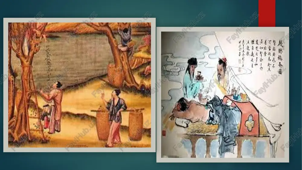 ning janubida sun (420—479), chi (479-502), lyang (502-557), chen (557—589), shimolida shimoliy vey (386-534), sharqiy vey (534-550). shimoliy chi (550577), gʻarbiy vey (535-557), shimoliy chjou (550-581) kabi davlatlar paydo boʻldi. janubidagi davlatlar xitoylar tomonidan, shimolidagi davlatlar esa xitoy boʻlmagan xalqlar tomonidan tashkil etildi. 581 yilda x.dagi mayda davlatlarni birlashtirish asosida suy sulolasi (581—618), 618 yilda tan sulolasi (618—907) hokimiyat tepasiga keldi. ayrim maʼlumotlarga kura, etnik jihatdan tan sulolasi turklarga aloqador boʻlganligi sababli dastlabki mazkur sulola turklar tomonidan qoʻllabquvvatlandi. 7-asr oxirida tan imperiyasi harbiy jihatdan yuksaldi, boskinchilik urushlari olib bordi. 630 yil sharqiy turk xoqonligi, 657 yil gʻarbiy turk xoqonligiga zarba berilishi natijasida sharqiy turkistondagi davlatlar 100 yilga yaqin x.ga qaram boʻlib qoldi. 751 yil tan armiyasi talas jangish arablar tomonidan magʻlubiyatga uchragach, imperiya gʻarbga qilmoqchi boʻlgan yurishdan voz kechishga majbur boʻldi. uygʻur xoqonligi davri (745—840)da esa uning taʼsiri ostiga tushib qoldi. 8-asr oʻrtalaridan markaziy hokimiyat bilan chekka viloyat hokimlari oʻrtasida …