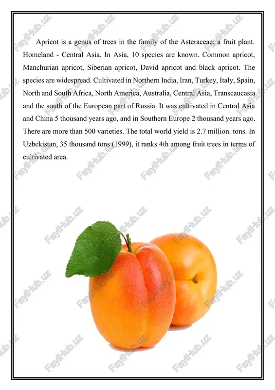 with a husk (cracks when ripe). ripens in july-september. almonds weigh 0.5-4 g (kernel 12-80%). the kernel contains 35-67% fat, up to 30% protein, as well as sugar, gummy substances (bitter almonds contain up to 2.5% amygdalin). depending on the variety, the husk is thin (scaly), medium and hard, the kernel is sweet or bitter. image1.jpeg image2.jpeg image3.jpeg image4.jpeg