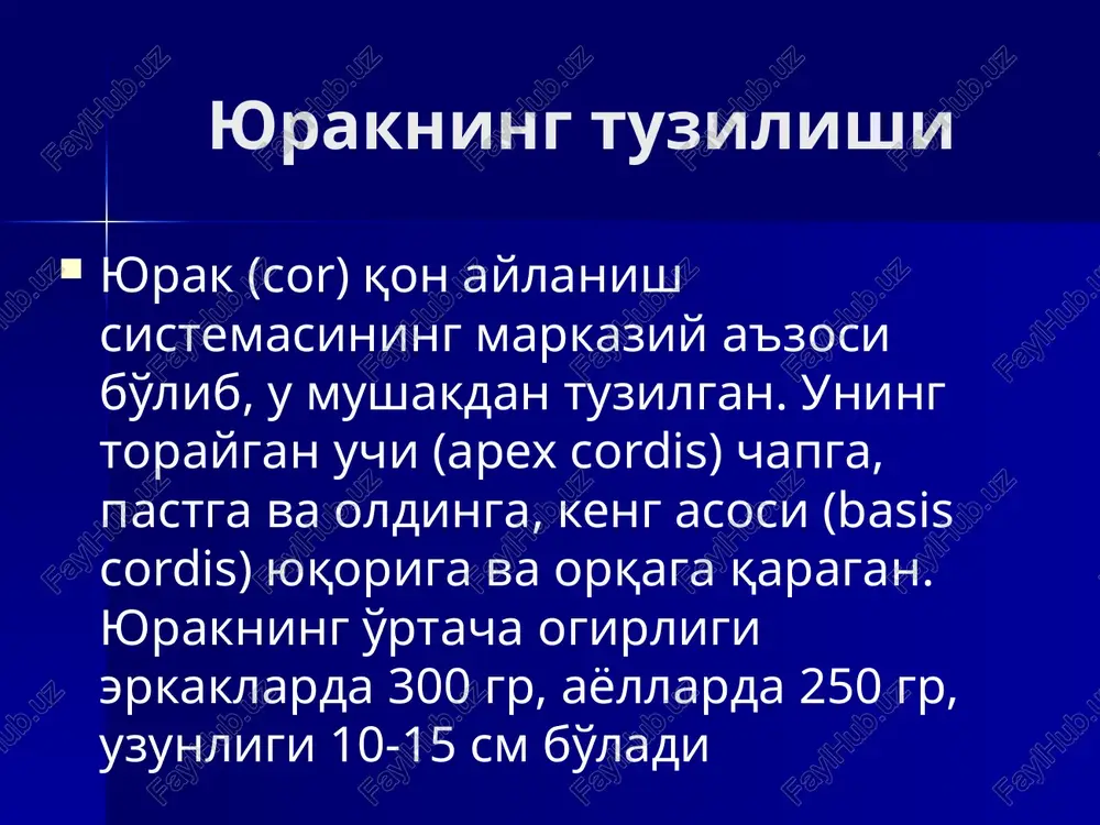 \ csfundibulum) gextra : ventriculus sinter suleus coronarius - stratum externum myocardt ventriculus dexter ‘apex cordis sulcus interventricularis (cordis) anterior — vortex cordis (ctarychaa cipore avjac mopcponornn ye nosexa - [cepaue nnpasoe npevce pave »kenygouex(atrium dextrum, ventriculus dexter)] fee] ed £1 moocnop mepanenps! ora onus = [|x| v.cava superior auricula dextra ostium vcavae ostium vcavae inferiaris i superiors foramina venerum mm-pectinati v.cava inferior valvula veavaes inferiorie iba ose cordic valvula sinus coronarit cuspis posterior cuspis septalis cuspis_anterior ostium sinus coroner ‘ vatricuspidalis, myocardium mm.pepillares cavum ventricul lamina vieceralis (epleardid pericardi apex cordis (ctarychaa cipore 12] bee £1 moocnop mepanenps! ora onus = [|x| pulmonalis dextra \. ostium vpulmenalis -dextra fossa ovalis ostium veavae j inferior px ostium vpulmanalic f sinistrae auricula dextran [septum interatriale mmpectinati valvula sinus coronari ostium sinus pars membranacea septi eoronari cordis 4 interventricular cuspis septalis ‘valva_atrioventricularis is septal sinistra gurnitralis) uspis poster chardae tendineae valve atrioventricularis …
