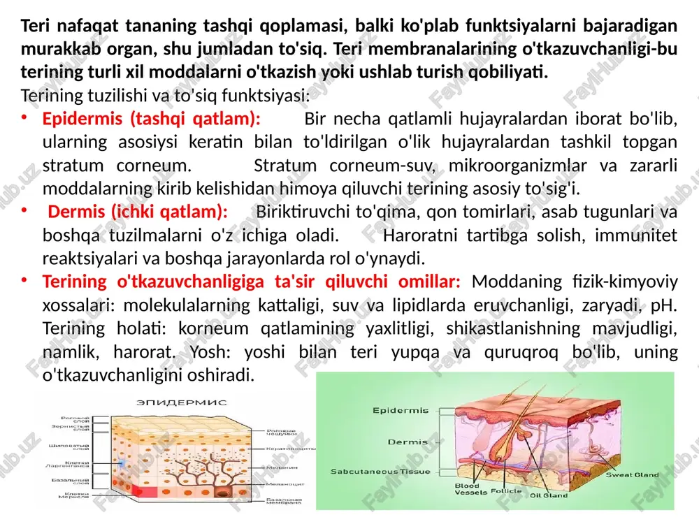 uchun foydalanish mumkin. teri orqali metabolizmni o'rganish yangi yo'llarni ochsa-da, e'tiborga olish kerak bo'lgan ba'zi kamchiliklar mavjud: cheklovlar: ma'lumotlarni talqin qilishning murakkabligi: teri metabolizmi murakkab va turli omillarga bog'liq. olingan ma'lumotlarni talqin qilish individual o'zgaruvchanlik va tashqi omillarning ta'siri tufayli qiyin bo'lishi mumkin. metabolitlarning cheklangan spektri: tanadagi barcha metabolitlarni terida yoki uning sekretsiyasida topish mumkin emas. tashqi omillarning ta'siri: o'lchov natijalariga harorat, namlik, jismoniy faollik, kosmetik vositalardan foydalanish kabi omillar ta'sir qilishi mumkin. usullarni standartlashtirish zarurati: teri orqali metabolizmni o'rganish uchun juda ko'p turli xil usullar mavjud va ularning natijalarini taqqoslash mumkin emas. ko'proq sezgir va o'ziga xos biosensorlarni ishlab chiqish: metabolitlarning past konsentratsiyasini o'lchash va tuzilishga yaqin moddalarni farqlash texnologiyasini takomillashtirish kerak. ma'lumotlarni tahlil qilish usullarini takomillashtirish: metabolik ma'lumotlarni qayta ishlash va talqin qilish uchun yaxshiroq algoritmlar zarur. metabolik profil ma'lumotlar bazalarini yaratish: kasalliklarni aniq tashxislash uchun sog'lom odamlar va turli kasalliklarga chalingan bemorlarning metabolik profillarining keng ma'lumotlar bazalari …