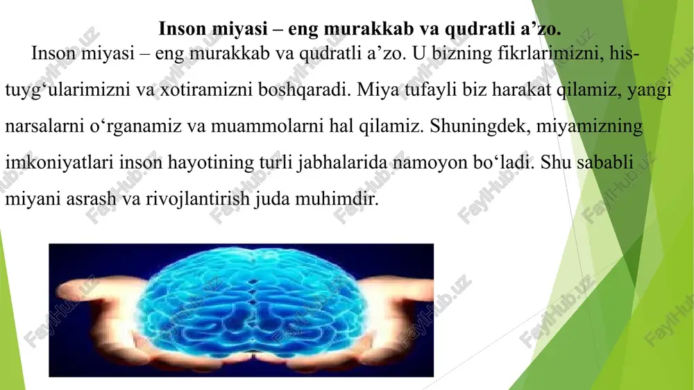 inson miyasi va uning imkoniyatlari - Page 3