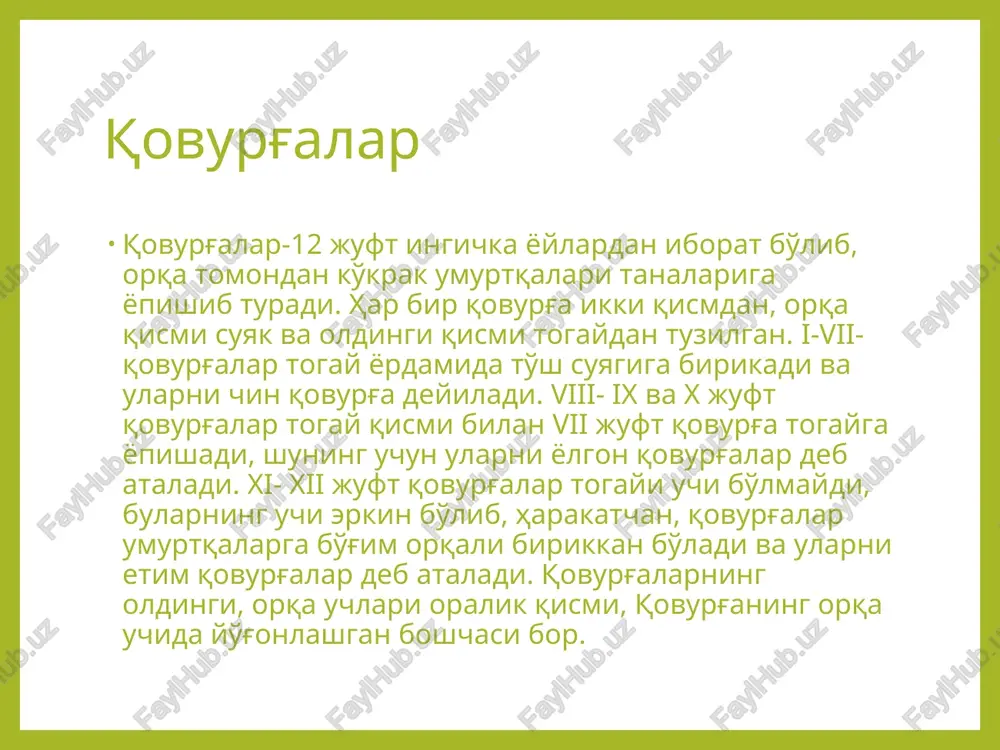 an keng va yupqa, orqaga qaragan bo'lib, kurak suyagi akromion o'simtasi bilan birlashadigan yassi bo'g'im yuzasi bor. o'mrov suyagining yuqori yuzasi silliq bo'lib, pastki yuzasida boylam birikadigan konussimon bo'rtiq va trapetsiyasimon chiziq bor. kurak (scapula) uchburchak shaklidagi yassi suyak. u ko'krak qafasining orqa lateral tomonida ii-vii qovurіalar sohasida joylashgan. kurak suyagida uchta: yuqorigi, ostki va tashqi burchagi va uchta yuqorigi, ichki va tashqi qirrasi tafovut qilinadi. kurak suyagining orqa yuzasi ko'tarilgan bo'lib, uni kurak qirrasi ikki: qirra usti va qirra osti chuqurchasiga ajratadi. bu chuqurchalarda shu nomdagi mushaklar yotadi. kurak qirrasi tashqi burchak tomon ko'tarilib borib kengayadi va akromionni qiladi. uning uchida o'mrov suyagi bilan birikadigan bo'g'im yuzasi bor. kurakning oldingi yuzasi biroz bukilgan bo'lib, kurak osti chuqurchasini hosil qiladi. unda shu nomdagi mushak yotadi. left 1st and 2nd ribs ‘superior view subclaviue muscle grooves for subclavian sein ana atone tupercte serratus antation muscle (cat igtation) porteticrzoslane muscle seratus antetior …