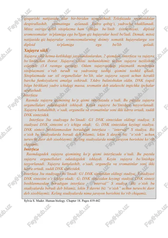 ra xayoti uchun kerakli barcha funksiyalarni amalga oshiradi. yadro bulinishidan oldin, dnk (oqsil bilan birikkan) yadro ichidagi massa, xromatin deb ataluvchi ingichka ipchalar aralashadi. interfaza rasmda xujayra qismining ko‘p qismi interfazada o‘tadi. bu paytda xujayra organellalari odatdagidek ishlaydi. keyin xujayra bo‘linishga tayyorlanadi. xujayra kattalashib, o‘sadi, organella va xromatinlar soni ikki karra ortadi, xuddi dnk sintezidek. interfaza 3ta stadiyaga bo‘linadi: g1 dnk sintezidan oldingi stadiya; s stadiyasi dnk sintezini o‘z ichiga oladi; g2 dnk sintezidan keyingi stadiya. dnk sintezi boshlanmasdan boradigan interfaza – “interval” s stadiya. biz o‘sish bu stadiyalarda boradi deb bilamiz, lekin s davrni biz “o‘sish” uchun turuvchi davr deb xisoblaymiz. keling stadiyalarda nima jarayon borishini ko‘rib chiqamiz. interfaza rasmdagadek xujayra qismining ko‘p qismi interfazada o‘tadi. bu paytda xujayra organellalari odatdagidek ishlaydi. keyin xujayra bo‘linishga tayyorlanadi. xujayra kattalashib, o‘sadi, organella va xromatinlar soni ikki karra ortadi, xuddi dnk sintezidek. interfaza 3ta stadiyaga bo‘linadi: g1 dnk sintezidan oldingi stadiya; s …