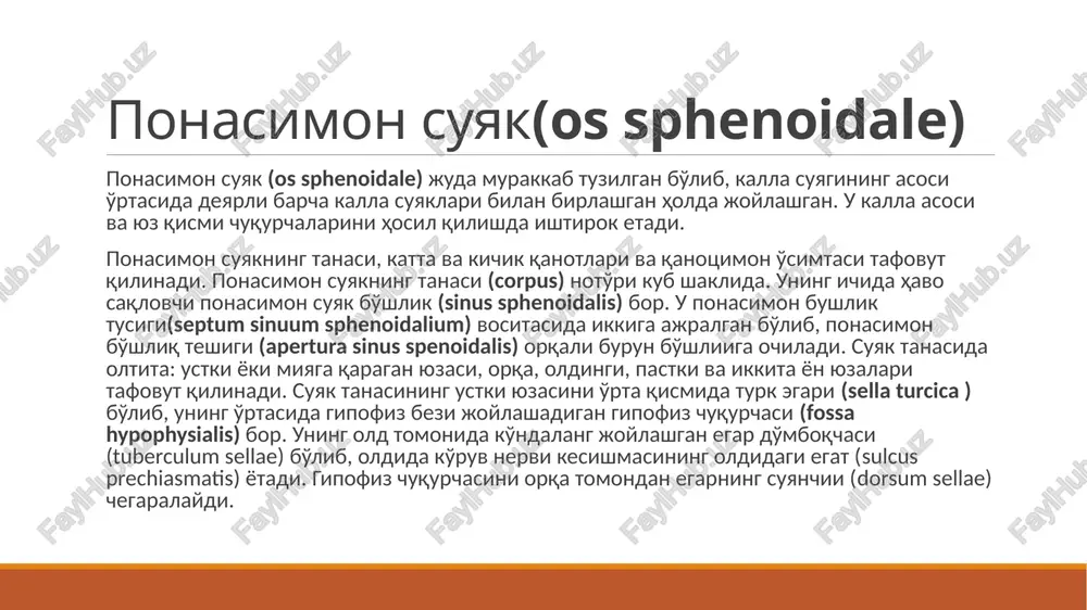 kawhobmahoh naay ae ee crista sphenoidali meamanbhag nnacranka (3 niosnanna rpesens foramen rotundum. kpyrnoe oraepetne c=} ala minor hamulus pterygoideus manoe kpuino facies temporalis bucowas nowepxnocte processus pieryeoideus, tamina lateralis [ak rppioenana orpoctox, navepanonan nnacranka bonvusoe kpwto foramen ovale u8} saansnoe orseperme foramen spinosum demcroe orsepctne fossa be kpenosnanan ance os sphenoid bone anterior view lesser superior sphenoid orbital fissure sew } orbitalsurface of greater wing foramen = rotundum vectorstock" bucounaa koctb, npasaa tuberculum articulare facies temporalis gyeaaon osea — ae biicownan nonepxhocte fossa mandibularis ficcnevenoctnas aac porus acusticus externus hapyxnoe cnyxosoe orsepete meatus acusticus externus hapyxiit cnyxobon npoxoa : sores ® _ processus zygomaticus fissura tympanomastoidea sn eae neeop eer sa wnnosmarei orpocrok fissura petrotympanica foramen mastoideum * kamenncro-gapadannan mene cocuesanoe orsepcme y pa os processus mastoideus cocuesnanbia orpoctor 1 — petrous part; 2 — squamous part; 3 — tympanic part; 4 — mastoid pro- cess; 5 — mastoid …