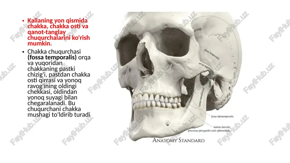 chakka, chakka ostiv aqanot-tanglay chuqurchalari - Page 3