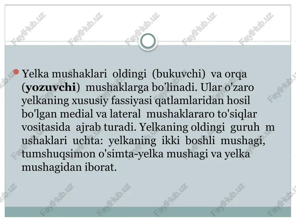 elkakamarivaelkamushaklari - Page 3