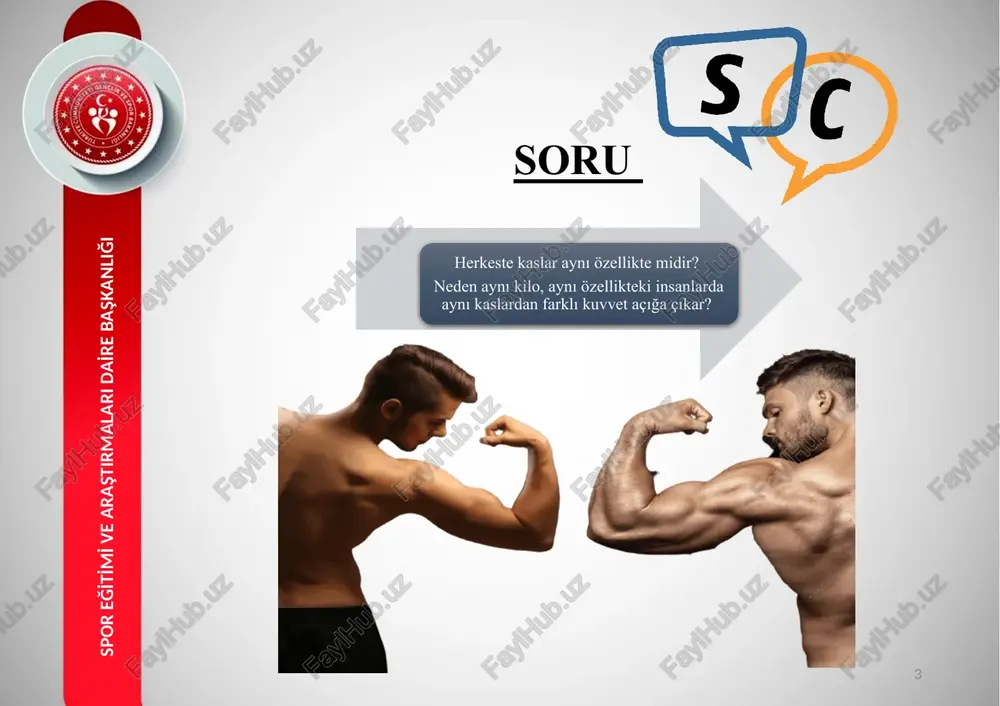 da açığa çıkan kuvvet maksimum konsentrik kasılma sırasında çıkan kuvvetten daha fazladır. 24 spor eği̇ti̇mi̇ ve araştirmalari dai̇re başkanliği i̇zotonik kontraksiyon 25 spor eği̇ti̇mi̇ ve araştirmalari dai̇re başkanliği konsantri̇k eksantri̇k konsentrik kasılma kas tarafından ortaya çıkarılan kuvvetin eksternal kuvvetten daha fazla olduğu durumda meydana gelir. bu kontraksiyon sırasında kas boyu kısalır. eksentrik kasılma sırasında kas, antagonist olarak agonist kasın ortaya çıkardığı hareketi kontrol altına alır, bu sırada ortaya çıkan enerji kas tendon ünitesi tarafından absorbe edilir ve negatif iş yapılmış olur absorbe edilen enerji, bir sonraki konsentrik kasılma sırasında (strecth-shorten contraction) ya da ısı enerjisi olarak kullanılır. eksentrik kasılma konsentrik kasılma ile kıyaslandığında ortaya daha fazla kuvvet açığa çıkarır ve bunu daha az enerji kullanarak yapar bu nedenle, eksentrik kasılmalar diğer kasılma tiplerine göre metabolik olarak daha tasarruflu bir kasılma şeklidir eksentrik kasılmalar sırasında seçici olarak tip 2 (hızlı kasılan, çabuk yorulan) kas lifleri aktive edilir ve aynı iş yükü …