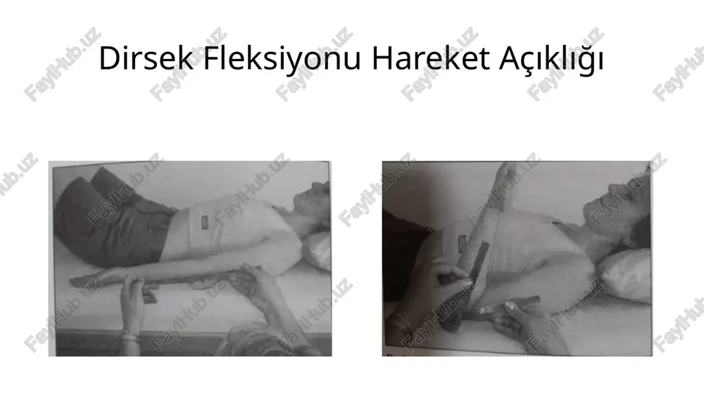 dirsek - Page 3