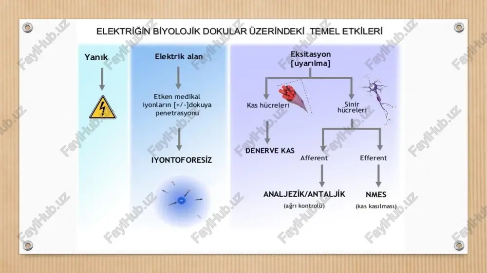 aljik nmes (an kontrol) (kas kasilmast) denerve kas elektrostimulasyonda kullanilan akim tipleri acipc igin gegerli dalga formlari / waveforms elektrik akimlannin yayllim siniizoidal/daigalt sekilleri fark lik rektangiler/diktdértgen géstermektedir ve bu ll osiloskopta izlenebilen bir ézelliktir. spiked/ani cikisl moworazik ——* bir kuluptan digerine tek yanli sirazik = ——» her atimda “bir kez" kutuplar arasi yon degisimi vardir. povirazik ——> her atimda, “birden fazla” kutuplar arasi yin degisimi vardir { vi ‘zaman (mikronaniye) temel dalga formlari ve tanimlamalari bu bilgiler isiginda elektrik akimlari nasil tanimlanir ? asagida elektrik akimlarint isimlendirmede sik karsilasilan bazi tanimlara yer verilmistir. bifazik triangiller » —_yén dedistiren uggen dalga formuna sahip akim bifazik rektangiler ® yon dedistiren dikdérigen dalga formuna sahip akim bifazik kesikli sinuzoidal ® yn degistiren, siniizoidal dalga formuna sahip, alimlar arasinda kesintilerin oldugu akim monofazik kare, kesikli pyn dedistirmeyen, kare dalga formuna sahip akim bir akimin yaratacagi etkileri nasil degistirebiliriz ? bir akimin yaratacagi terapatik …