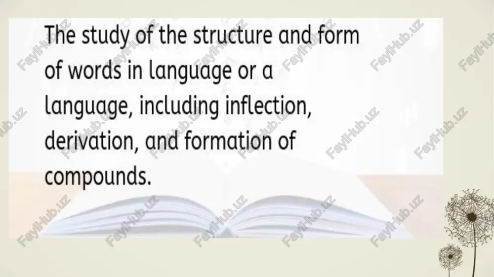 morphology - Page 3