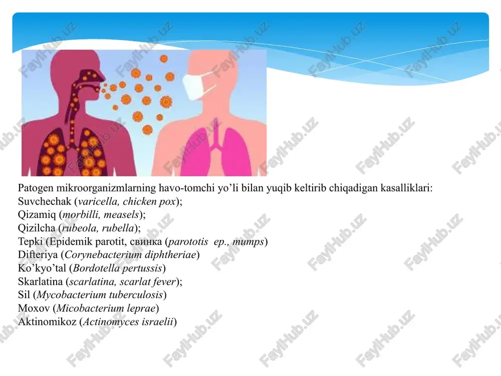 ashganda qo’zg’atuvchilar butun organizmga tarqalib, generilizatsiyalanadi limfa yo’llari shikastalanib, limfangit va regionar limfadenitlarni rivojlanishi kuzatiladi birlamchi sil kompleksi yuzaga keladi shikastlangan joy qobiq bilan o‘ralib kalsiy tuziga aylanadi va chandiq hosil bo‘ladi kasallik surunkali davom etsa ikkilamchi sil yuzaga keladi. birlamchi sil kasalligi bilan og‘riganlarda endogen yo‘l bilan yoki kasallik qayta yuqishi oqibatida iikilamchi sil yuzaga keladi. sil kasalligining mikrobiologik diagnostikasi bakterioskopik bakteriologik serologik biologik allergik olingan materialdan bir xil qalinlikda bir necha surtmalar tayyorlanadi. havoda quritiladi va alangada fiksatsiya qilinadi. sil-nilsen usulida bo‘yaladi. ekishdan oldin materialni begona floradan xalos qilish maqsadida na3po4 ning ma�’lum miqdori bilan ishlov beriladi. bu reaktiv begona florani yo�qotadi, ammo sil tayoqchalariga ziyon yetkazmaydi. tekshirilayotgan materialga unga teng hajmda uch marta 10 % li natriy fosfat qo’�shish bilan ishlov beriladi. so�’ngra material sentrifugalanadi, cho�’kma ajratib olinib 1 ml natriy xlorid qo�shiladi va 3 ta probirkaga (tuxumli muhit) 0,5 mldan ekiladi. mikobakteriyalarning qayta ekilish xususiyatini oshirish …