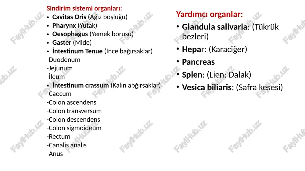 illae vallatae (acı) papillae foliatae (ekşi) papillae fungiformes papilla lentiformis: (tatlı-tuzlu) papillae filiformes: tat tomurcukları içermezler papillae conicae: tat tomurcukları içermezler papillae vallatae papillae fungiformes papillae filiformes m. genioglossus: dili dışarı ve aşağıya çeker. m. hyoglossus: dili aşağı doğru çeker. m. styloglossus: dili yukarı ve arkaya çeker. m. palatoglossus: i̇sthmus fauciumu daraltır , dil kökünü yukarı çeker. di̇li̇n ekstrensek kaslari di̇li̇n i̇ntrensek kaslari m. longitudinalis superior: dilin ucu ve kenarlarını yukarı kıvırır. m. longitudinalis inferior: dilin boyunu kısaltır. dil ucunu aşağı kıvırır. m. tranversus linguae: dili daraltarak boyunu uzatır. m. verticalis linguae: dili yassılaştırır. m. genioglossus m. hyoglossus: m. styloglossus: m. palatoglossus m. longitudinalis superior m. longitudinalis inferior m. tranversus linguae m. verticalis linguae sinirleri dil kaslarının motor innervasyonu: n. hypoglossus tarafından sağlanır. dilin 2/3 ön tarafının; genel duyusu n. lingualis, tat duyusu chorda tympani (n. facialis), dilin 1/3 arka tarafının; genel duyu ve tat duyusu n. glossopharyngeus di̇şler corona …
