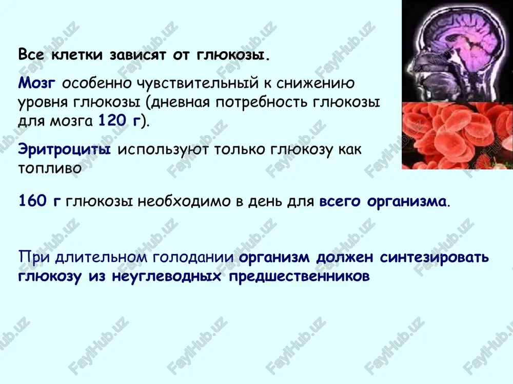 atiti i ojirenie bolezn kushinga tireotoksikoz i akromegaliya yazva 12-perstnoy kishki saxarniy diabet razdelyayut na 2 tipa: і tip – insulinozavisimiy (20 %); іі tip – insulinnezavisimiy (80 %) insulinozavisimiy – absolyutniy defitsit insulina v organizme, proyavlyaetsya v detskom vozraste, sklonnost k ketoatsidozu, lechitsya insulinom insulinonezavisimiy – voznikaet u vzroslix, obuslovlen otnositelnoy nedostatochnostyu insulina, ne oslojnyaetsya ketoatsidozom, ne trebuet insulinoterapii prichini diabeta і tipa: 1) geneticheski determinirovanniy 2) autoimunnoe porajenie v detskom vozraste - kletok podjeludochnoy prichini diabeta іі tipa: 1) insulin virabativaetsya, no v plazme svyazivaetsya s belkami, kotorie blokiruyut ego deystvie; 2) giperaktivatsiya insulinazi; 3) deffekt retseptornogo apparata dlya insulina; 4) defekt postretseptornoy sistemi (adenilattsiklaznoy) uglevodniy obmen pri saxarnom diabete ugnetenie geksokinazi (gepato-, mio- i adipotsiti) usilenie glikogenoliza aktivatsiya glyukoneogeneza narushenie roboti tsikla krebsa lipidniy obmen pri diabete: snijenie utilizatsii glyukozi snijenie lipogeneza mobilizatsiya jira iz depo lipemiya usilenie ketogeneza i xolesterinogeneza ketonemiya i xolesterinemiya ketonuriya belkoviy obmen …