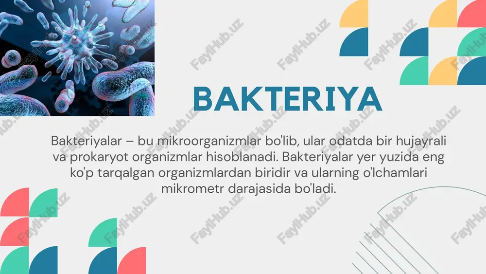 mikroorganizmlar haqida - Page 3