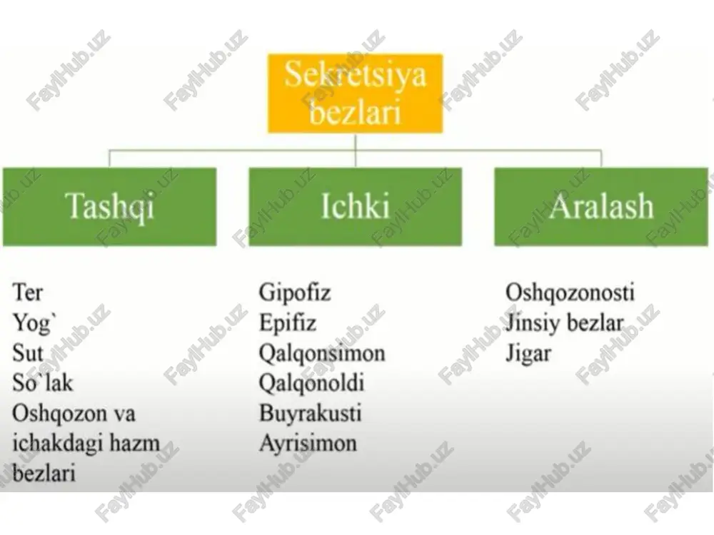 20 kun 1 ml qondgi miqdori: 5 mln/ml nnn ogsillari: gemoglobin rezus omil qon guruhlari i guruh plocnda: agglutinin a va b eritrotsitlarda: agglutinogen yo'q ti guruh ploonde: agglutinin b eritrotsitlarda: agglutinogen a ii guruh ploonde: agglutinin a eritrotsitlarda: agglutinogen b tv guruh plagede: agglutinin yo'q eritrotsitlarda: agglutinogen a va b rezus omil — antigen ogqsil. eritrotsitlaming membransida bo ’'ladi 1usbat qon quyish oq gon tanachalari manbasi: qizil ilik, talog, limfa tuguni, ayrisimon bez shakli: o’zgaruvchan(amyobasimon) yashash muddati: 2-5 kun 1 ml qondgi miqdori: 6-8 ming/ml monotsit vazifasi: himiya eozonofil bazofil b os ® limfotsitlar neytrofil t fagotsitoz receptors acteriur@— = (e) hagosome phagocytosis s phagolysosomes @» lysosome qon plastinkalar(trombotsitlar) manbasi: suyak ko’migi va taloq shakli: dumalog yoki ovalsimon diametri: 3-4 mkm 2-5 kun 1 i: 300-400 ming/ml vazifasi: himoya(qon ivishi) sistola diastele a le 3g? ub fon) 6 ota fp lk dea ochle hole 0 § 4 3) eles …