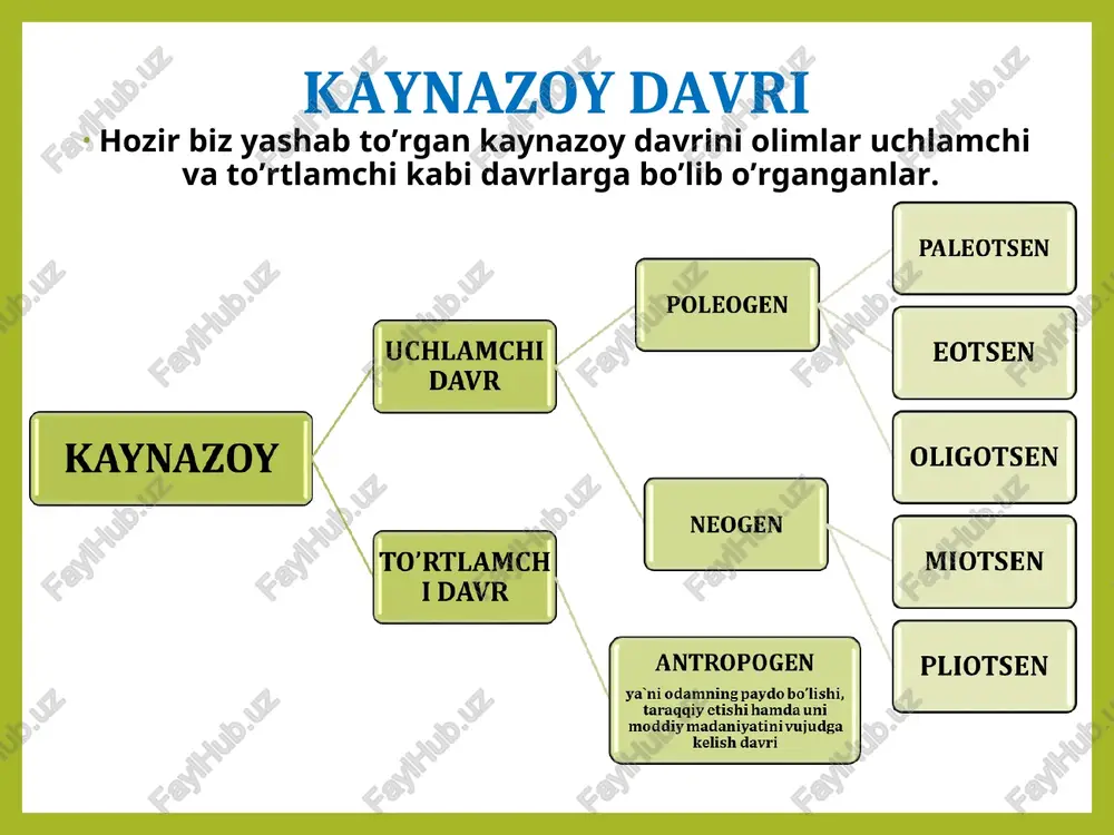 ganlar. bu davr odamlari taraqqiyotda qator muvaffaqiyatlarga erishdilar:tabiiy g'orlardan boshpana sifatida foydalana boshladilar, toshlardan mehnat qurollari yasash ishlarini takomillashtirib bordilar.qo'l cho'qmorlari, qirg'ichlar, tosh pichoqlar shular jumlasidandir. bu odamlar toshlarni chaqmoqlashning ma'lum sistemalarini kashf etdilar, ularning sifati va sinish xususiyatlarini o'rganib oldilar. selung'ur g'ori selung'ur g'ori farg'ona shahridan taxminan 100 km janubi-g'arbda, haydarkonning g'arbiy chekkasida joylashgan. bu ulkan g'orning chuqurligi 120, kengligi 34 va balandligi 25 metrdir. bu erda o'tgan asrning 80-yillarida qazishma ishlari o'.i.islomov rahbarligida olib borilgan. g'orda 20-40 sm qalinlikdagi beshta madaniy qatlam bo'lib, ular bir-biridan arxeologik qoldiqlarsiz bo'lgan toza qatlamlar (30-100 sm) bilan bo'lingan. buning ma'nosi shuki, ibtidoiy odamlar mazkur g'orda besh karra yashaganlar va vaqti-vaqti bilan o'z maskanlarini uzoq muddatga tark etganlar. bu erda tosh qurollar, hayvonat qoldiqlari va hatto odam –arxantrop qoldiqlarining boy kollektsiyasi mavjud. ushbu kollektsiyada qo'l cho'qmori, to'mtoq bolta, chopper, katta tosh qirg'ich va pichoq, ko'p miqdordagi tishli va o'yiq-o'yiq qurollar, ponaga o'xshash va …