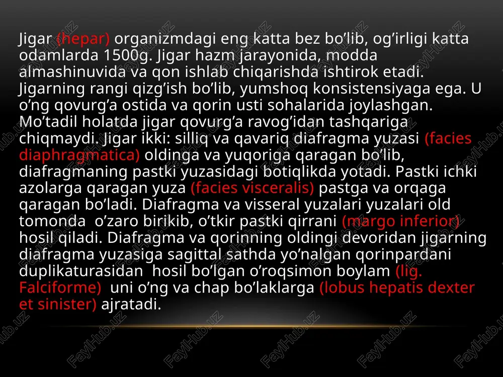 chegarasiga o’tib ketadi. jigarning pastki chegarasi o’ng x qovurg’aning oralig’idan chapga qarab o’ng qovurg’a rovog’i bo’ylab chap viii qovurg’a to’g’ayining vii qovurg’a to’g’ayiga birikkan joyigacha boradi. jigar o’rta ichak boshlang’ich entodermal epiteliyidan rivojlanadi. jigar kurtagi homila hayotining uchinchi haftasida o’rta ichak ventral devorida bo’rtma shaklida paydo bo’lib, uni jigar ko’rfozi deyiladi. bu bo’rtma dastlab umumiy bo’lib , so’ngra ikkiga: yuqori va pastki bo’rtmalarga bo’linadi. yuqori bo’rtmadan jigar nayi va jigarning bez to’qimasi rivojlansa, pastki bo’rtmadan o’t pufagi rivojlanadi. umumiy bo’rtma esa keyinchalik umumiy o’t yo’liga aylanib ketadi. yuqorigi bo’rtma juda tez o’sib, oshqozonning ventral tutqichi ichiga o’sib kiradi. va u bilan birikkan to’siqni ikkiga ajratadi. pastda oshqozon kichik egriligi bilan jigar o’rtasida o’roqsimon boylam hosil bo’ladi. jigar kurtagi shoxlanib jigarning bez to’qimasi ustunlari hosil bo’ladi. bu ustunlarni tuxum sarig’i tutqich venasi tarmoqlari o’raydi va jigar kurtagining qon bilan taminlanishi rivojlanganidan so’ng u tez o’sadi. image1.png image3.jpg image4.jpeg image5.jpg image6.jpg image7.jpg …