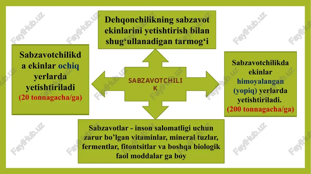 tda lazzat- li oziq-ovqat va vitaminlar manbai ekanligi bilan belgilanadi. bu xavda xv-xv1 asrlardagi o`rta osiyo xo’jaligi tarixi tugrisida “ziroatnoma” (fann-i kishtu ziroat) da batafsil ma’lumotlar keltirilgan. unda o`tmishda yashagan bobo-dexqonlarning ming yillar davo- mida orttirgan tajribalari aks ettirilgan. ular qimmatbaxo ahamiyatli mevali daraxtlar, poliz va sabzavot ekinlarining navlarini yaxshilash, yaratish, zararkunanda-kasalliklariga qarshi kurashish, muttasil, mul va uzoq tashish hamda saklashga yarokli hosil olish usullarini ishlab chikkanlar. ilmiy sabzavotchilikning rivojlanishi a.t.bolotov, a.ye.grachev, r.i.shreder, m.v.ritov, n.i.kichunov, s.i.jegalov, n.i.vavilov, v.i.edelshteyn kabilarning nomlari bilan bogliq. a.t.bolotov (1738-1833) umumiy agronomiya ishlari bilan birga o`z vaqtida muxim ahamiyatga ega bo`lgan sabzavot ekinlari bo`yicha ham maqolalar chop etadi. a.ye.grachev (1826 - 1877) o`zi o`qib o`rganib yetishgan atoqli sabzavotkor olim bo`lib, sabzavot ekinlarining ko`pgina qimmatli navlarini yaratadi. r.i.shreder (1822 - 1903) - petrov o`rmonchilik va dexqonchilik akademiyasi (hozirgi k.a.timiryazov nomli moskva qxa) ning o`qituvchisi bulib, uzining “russkiy ogorod, pitomnik va plodoviy sad” asarida rus sabzavotkorlari tajribasini umum- …