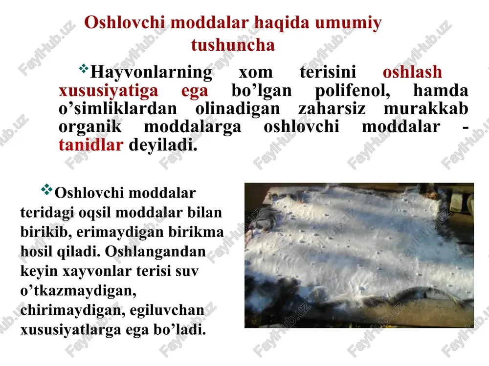 oshlovchi moddalarni biosintezi kondensasiyalanuvchi tanidlarning asosiy qismi bo’lgan katehinlar va leykoantosiyanlar molonil-koa va asetil - koa larning kondensatsiyasi orqali sintezlanadi. oshlovchi moddalarni o’simlik dunyosida tarqalishi lishayniklarda, suv o’tlari, qo’ziqorinlar tarkibida; sporali o’simliklardan- paporotniklar, qirqbo’g’mlar, plaun va moxlarda; yuqori o’simliklardan ayniqsa ikki pallali o’simliklar sinfiga kiruvchi oilalarda: ra'noguldoshlar dukkakdoshlar qoraqatdoshlar torondoshlar qoraqayindoshlar pistadoshlar va boshqa oilalarda ko’p uchraydi. tanidlar ayrim o’simliklarning patologik o’simtalarida (gallalarda) 70% dan ham ko’p bo’ladi. oshlovchi moddalarni o’simlik to’qimasida to’planishiga ta’sir etuvchi omillar o’sish davriga o’sish joyi tuproq tarkibi iqlim dengiz satxidan balandligi oshlovchi moddalar o’simlik to’qimasida oksidlanish-qaytarilish jarayonlarida faol ishtirok etadi. oshlovchi moddalar bakteritsid va fungitsid ta'siriga ega bo’lgani sababli daraxtlarni yog’och qismini tez chirishdan saqlaydi. ximoya vazifasini bajaradi. agar o’simliklarga tashqaridan ta'sir etilsa (xashorat o’simlikni yaralab chaqib tuxim qo’ysa), zararlangan to’qimalarda ko’p miqdorda oshlovchi moddalar hosil bo’ladi. oshlovchi moddalarning o’simliklar hayotidagi roli fizik va kimyoviy xossalari oshlovchi moddalar amorf kukun. suvda, turli darajadagi spirtda, etil …