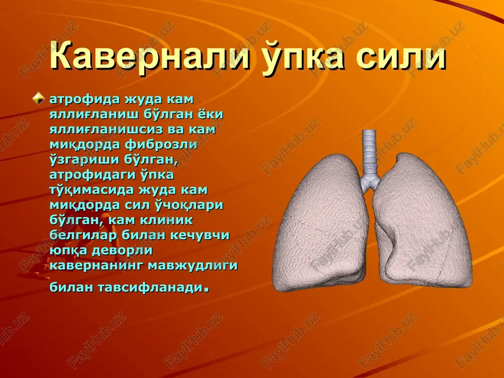 mon, yuldizsimon); uchok xosil bulishi; tuberkuloma xosil bulishi; kista xosil bulishi o'pkaning tarqoq sili avjlanib borayotganida kaverna qon tomirlarining trombozi va yallig'lanishi natijasida o'pka to'qimasidan distrofik o'zgarish ro'y berib kaverna paydo bo'ladi, bunday kavernaning devorlari yupqa bo'ladi, shuning uchun bunday kavernani “shtammplangan” deb yuritiladi. o'choqli o'pka silidan mayda kavernachalar paydo bo'lib, uning devori mayda sil o'choqlaridan iborat bo'ladi, bunday kavernani alterativ kaverna deb ataladi. agar kaverna devorining fibroz qavati qalinroq bo'lsa, u kavernaning burishishiga xalaqit qiladi, bunday xolda kaverna ichiga kazeoz massa to'lib qoladi va tuberkuloma (psevdotuberkuloma) paydo bo'ladi . sostoyaniya kaverni pri narusheniyax drenajnoy funktsii bronxa (sxema).a — gipoventilyatsiya — umenshenie kaverni; b — klapanniy mexanizm (vdox — vidox) — razduvanie kaverni; v — zakuporka bronxa — spadenie kaverni. kavernali o'pka silining aloxida klinik ko'rinishi sifatida sil tasnifiga qo'shish 1943 yilda a.i.strukov tomonidan tavsiya qilingan edi, ammo bu 1964 yili ftiziatrlarning vii anjumanidagina qabul qilindi. kovakli tuberkulez upkadagi yangi …