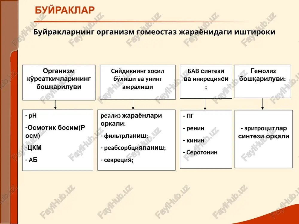 arini paypaslashda kuzatiladigan ogriklar og'rigan tarafda pasternatskiy simptomini kuzatilishi laborator –irstumental tekshirish: umumiy siydik taxlili- ogrik gurujidan sung uzgarmagan eritrotsitlarni paydo bulishi urografiya- sabablari aniqlanadi buyrak ultra tovush tekshiruvi(uzi) - sabablari aniqlanadi xromotsistoskopiya- sabablari aniqlanadi asosiy buyrak sindromlari nefrotik sindrom- proteinuriya, gipoproteinemiya, giperxolesterinemiya, massiv shishlar, anasarka. shish sindromi sabablari: turli zaxarlanishlar (sulema, kislotalar) infektsion-toksik kasalliklar(gripp) noto'g'ri qon quyishlar surinkali glomerulonefrit sepsis sil qandli diabet kollagenozlar amiloidoz shikoyatlar: shishlar oliguriya ishtaxa yo'qolishi ko'ngil aynish qusish bosh og'riqlari mushaklarda og'riq shish sindromi ko'zdan kechirish: shishlar astsit gidrotoraks gidroperikard anasarka «facies nephritica» laborator –asbob-uskunalar yordamida tekshirish: massiv proteinuriya gipoproteinemiya giperxolesterinemiya shish sindromi asosiy mexanizmlar: buyrak kasalligida ab oshib ketishi. natriy va suvning to'planishi. pressor sistemasining aktivlashishi(renin-angiotenzin-aldosteron) buyrakning arterial gipertenziya sindromi shikoyatlar: bosh og'riqlari bosh aylanishi yurak soxasida og'riqlar xansirash yurak tez urishi ko'rishni xiralashuvi ob'ektiv tekshirish: ab ning turg'un ko'tarilishi (ayniqsa diastolada) puls tarang,tulik chap qorincha gipertrofiyasi- yurak uchi turtkisi eyilgan, kuchli, yurak …