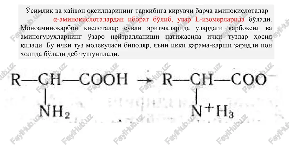 i, organik erituvchilarda deyarli erimaydi, u suyultirilgan mineral kislota va ishqorlarda, ammiak eritmasida eriydi. glitsin glicinum aminosirka kislota h2n--ch2--cooh c2h5n02 m. m. 147,14 grekcha glikos-shirin so'zidan olingan.glitsin shirin mazali, rangsiz kristall, suvda yaxshi eriydi eriydi, spirtda, efirda va atsetonda erimaydi., preparat 232-236°s haroratda suyuqlanadi. 1820 yilda jelatindan gidroliz qilingan. tarkibida asimmetrik uglerod atomi saqlamaganligi uchun optik faol emas. aminokislotalarning barchasiga xos va umumiy reaktsiya sifati ningidrin bilan ko'k-binafsha rangli birikma hosil qiladi. ningidrin reaktsiyasini amalga oshirish uchun aminokislotalarning suvdagi eritmasiga ningidrin (i) eritmdsi qo'shib isitiladi. bunda reaktsiya natijasida avval diketoksigidrinden (ii), ammiak va aldegid (ikki asosli aminokislotalar, aldegidokislotalar) hosil bo'ladi. keyinchalik hosil bo'lgan diketoksigidrinden, ammiak va ningidrinning reaktsiyaga kirishmay qolgan qismi tezlik bilan o'zaro reaktsiyaga kirishib, ko'k-binafsha rangli diketogidrindenketogidrinaminning ammoniyli tuzini (iii) hosil qiladi. reaktsiyani glutamin kislota misolida qo'yidagi kimyoviy tenglama bo'yicha ifodalash mumkin: reaktsiya bo'yicha aminalonning chinligini yupqa qatlam xromatografiya usulida aniqlash tavsiya qilinadi. buning uchun avval aminalonni «silufol» …