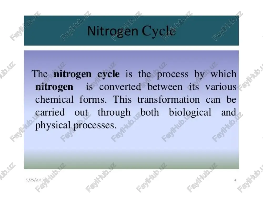 nitrogen cycle - Page 3