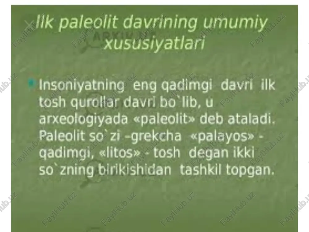 lk paleolit davrida inson ma’lumoti - Page 3