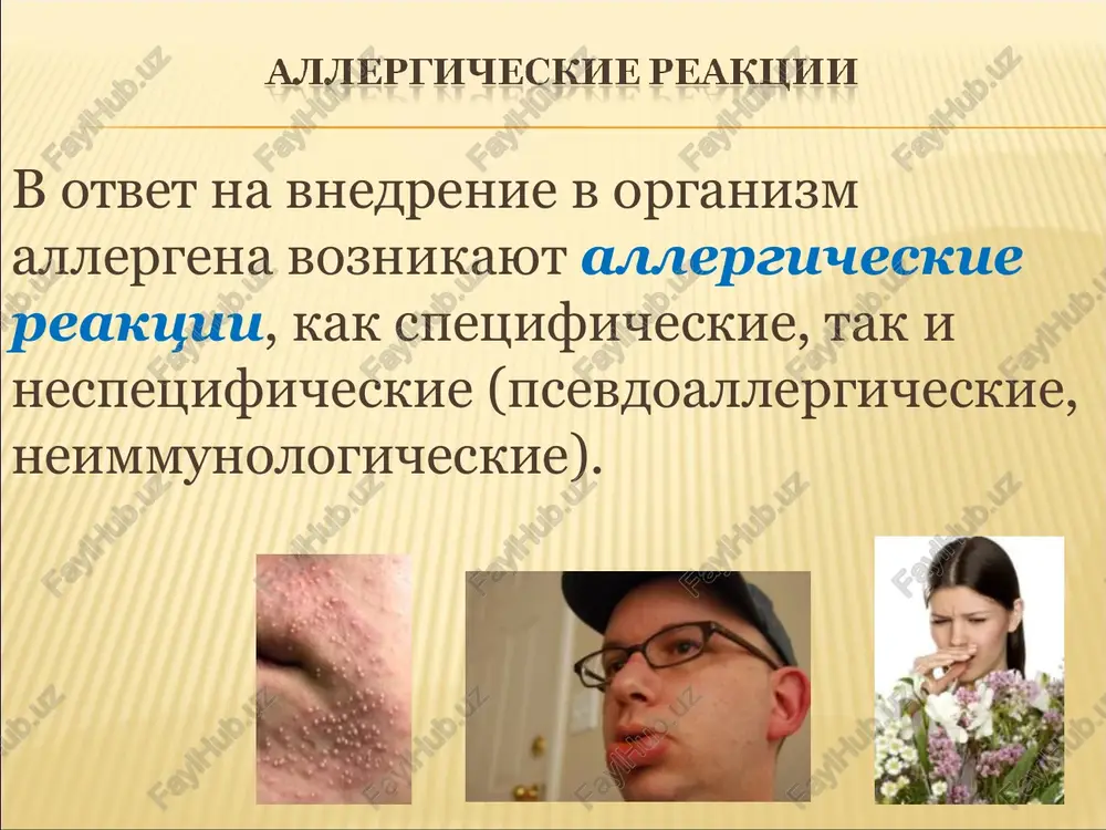 icheskoy reaktsii nemedlennogo tipa, imeyushiy dve fazi: razvitie ranney fazi reaktsii, ili klassicheskiy put (i), i razvitie pozdney fazi reaktsii (ii). v razvitii ranney fazi reaktsii prinimayut uchastiv labrotsiti (tuchnie kletki) i bazofili, na kotorix fiksiruyutsya antitela-reagini (1). pri prisoedinenii k etim antitelam sootvetstvuyushix allergenov (2) iz tuchnix kletok visvobojdayutsya mediatori: gistamin, povishayushiy pronitsaemost sosudov i vizivayushiy spazm gladkix mishts, eozonofilnie xemotaksicheskie faktori (exf), vizivayushie xemotaksis eozinofilov, visokomolekulyarniy neytrofilniy xemotaksicheskiy faktor (vnxf), obespechivayushiy xemotaksis neytrofilov, trombotsitaktiviruyushiy faktor (taf), vizivayushiy agregatsiyu trombotsitov i osvobojdenie iz nix gistamina i serotonina. aktivirovannie mediatorami eozonofili videlyayut vtorichnie mediatori: diaminooksidazu (dao), arilsulfatazu (as). aktivirovannie neytrofili osvobojdayut taf i leykotrieni (lt). v razvitii pozdney fazi reaktsii (ii) prinimayut uchastie makrofagi, eozinofili i trombotsiti. na nix takje fiksiruyut antitela-reagini (1). pri soedinenii s sootvetstvuyushim allergenom (2) iz kletok videlyayutsya mediatori, vizivayushie povrejdenie i razvitie vospaleniya, — kationnie belki, aktivnie formi kisloroda (afk), peroksidaza, a takje trombotsitaktiviruyushiy faktor …
