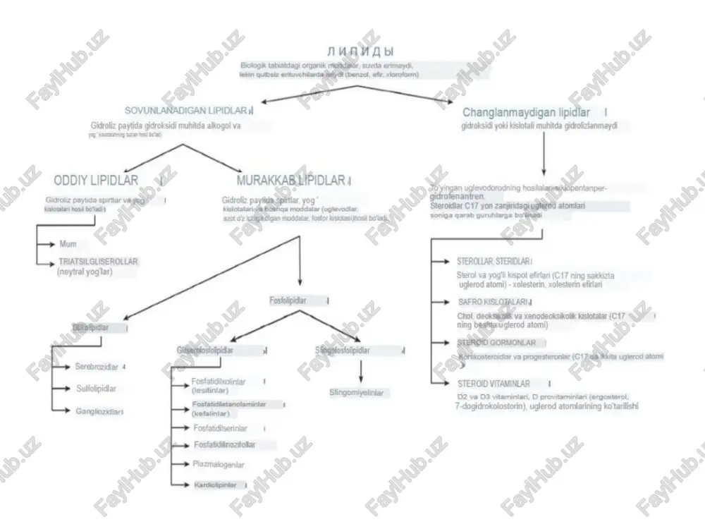 sqartirilgan formula uglerod atomlari sonini va qo'sh aloqalar sonini ko'rsatadi. n – radikaldagi uglerod atomlari soni; metil uchiga eng yaqin qo'sh bog'lanish bilan ko'rsatilganω sn3(ch2)ncoo- yog 'kislotasi taglar (yog'lar) yog' kislotalari va uch atomli spirt glitserinning esterlari. glitserinning 3 ta gidroksil guruhiga 3 ta yog 'kislotasi qoldig'i biriktirilgan triatsilgliserinlarning tuzilishi (tag) taglar yog’ kislotalari radikallari (r1, r2, r3,) tuzilishida farq qiluvchi hidrofobik molekulalardir. o r2 – c – o – ch o h2c – o – c – r1 o h2c – o – c – r3 fosfolipidlarning tuzilishi lipidlarning hazm bo'lishi lipidlarni gidrolizlovchi fermentlarning mavjudligi (lipaz, fosfolipaza, xolesterin esteraza), optimal ph (bir oz ishqoriy), yog'larning emulsifikatsiyasi. kattalardagi lipidlarni hazm qilish 20 daqiqa vaqt oladi ichaklarda paydo bo'ladi: safro va oshqozon osti bezi shirasi o'n ikki barmoqli ichakka kiradi. xlorid kislota neytrallanadi, karbonat angidrid chiqariladi, bu yog'larning aralashishi va emulsifikatsiyasiga yordam beradi. safroning ma'nosi lipaz va fosfolipaza faollashtiruvchisi; yog 'emulsifikatori, …