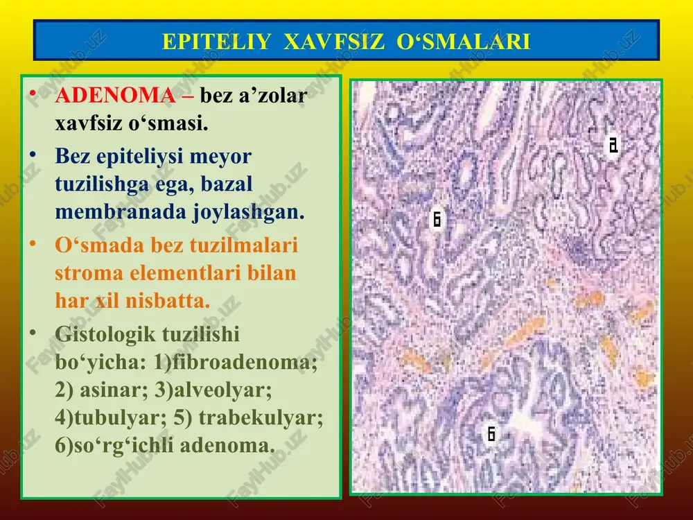 epitelial va mezenximal o’smalar - Page 3