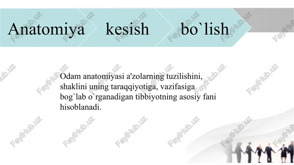'krak bo'shlig'i, yurak, o'pkalar va boshqalar joylashgan. ko'krak qafasi qovurg'alar bilan himoyalangan. qorin : ichaklar, jigar, oshqozon, buyraklar kabi ichki a'zolar joylashgan. orqa : umurtqa pog'onasidan iborat bo'lib, orqa mushaklari va nerv tizimi joylashgan. 2.qo'llar : yelka, barmoqlar bilan birga bo'lgan qo'l qismlari. qo'llar tananing yuqori qismidan boshlanadi. 3. oyoqlar : boshqa qismlarga qaraganda katta va kuchli. oyoqlarda son, tizza, to'piq va barmoqlar mavjud. shuningdek, har bir tana qismida suyaklar, mushaklar, qon tomirlari va nervlar tizimi ham mavjud. tana tuzilishining har bir qismi bir-biri bilan o'zaro bog'lanib ishlaydi. miya – tana uchun juda muhim va murakkab organ bo'lib, odamning aqliy va jismoniy faoliyatini ta'minlaydi. bosh miyasi quyidagi asosiy qismlardan iborat: bosh miyaning katta yarimsharlari (kallus) - o'ylash, his-tuyg'ular, xotira, til va boshqalar bilan bog'liq bo'lgan funksiyalarni boshqaradi. o'rta miya - ko'rish va eshitish kabi hislarni qayta ishlashga yordam beradi. pons va medulla oblongata - nafas olish, yurak urishi va boshqa …