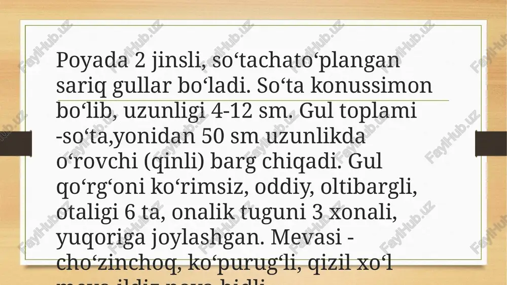 oddir igir - Page 3