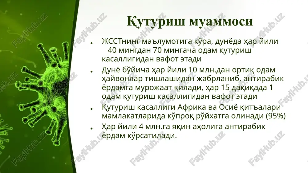 kuz fasli oylarida ruyxatga olinadi odamalarda quturish kasalligiga beriluvchanlik to'liq aniqlanmagan, biroq quturishga chalingan hayvon tishlagan odam odatda ushbu kasallikga chalinadi quturish asosan qarovsiz qolgan itlar tomonidan tishlangan va antirabik yordamga murojaat qilmaganlar o'rtasida kuzatiladi boshdan, yuzdan, barmoqlardan olingan jaroxatlar, shuningdek chuqur, yirtilgan jaroxatlar xam juda xavfli hisoblanadi this presentation uses a free template provided by fppt.com www.free-power-point-templates.com patogenezi quturish neyroinfektsion kasallik bo'lib, so'lak – nevral yo'l bilan o'tadi. virus odam organizmiga quturish kasalligiga chalingan hayvonning tishlashi va so'laklashi natijasida jaroxatlangan joydan kiradi. hayvon so'lagidan viruslar nerv tolalari bo'ylab bosh va orqa miyaga etib bradi xamda u erda ko'payib nerv xujayralarini shikastaydi va nerv to'qimalaridagi chuqur o'zgarishlar yuz berishiga sabab bo'ladi. bosh va yuzdan og'ir jaroxatlar olinganda virus tishlangan joydan markaziy asab tizimiga 7 – 20 kun davomida etib boradi.agar jaroxatlar oyoqlarda joylashgan bo'lsa, bu davr bir necha oylarga, xattoki 1 – 1,5 yilgacha cho'zilishi mumkin. virus markaziy asab tizimiga …