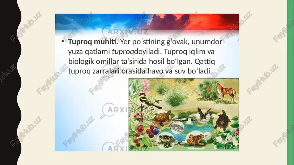 tuprog muhiti - Page 3