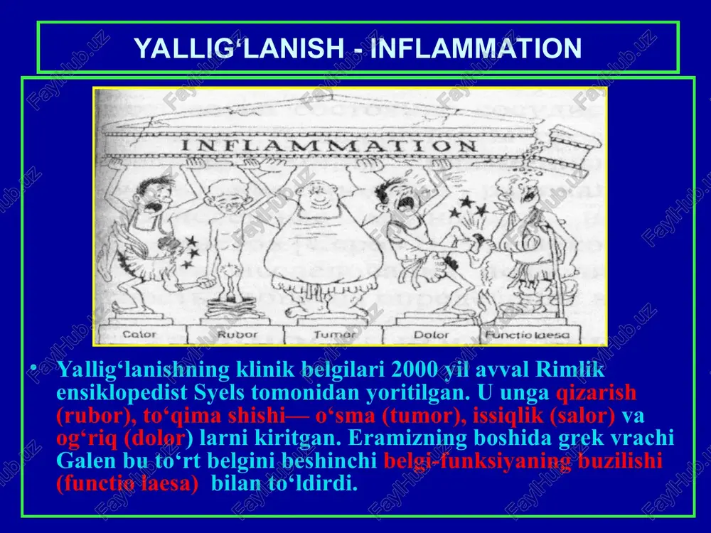 lliy tomirlar o‘zgarishi fenomeni: 1. tomir kengayishi (qizarishga va harorat oshishiga olib keladi); 2. plazma suyuqligi va oqsilning tomirdan tashqariga chiqishi (shishlar); 3. leykositlar emigrasiyasi va ularning jarohatlangan joyda to‘planishi. yallig‘lanishda leykositlar emmigrasiyasi serozli dermatit kataral bronxit kataral gastrit yiringli yoki apostematoz nefrit flegmonoz appendisit krupoz pnevmoniya yoki alveolalarda fibrinozli ekssudat to‘planishi difteritik yallig‘lanish gemorragik glomerulonefrit gemorragik pnevmoniya produktiv yallig‘lanish turlari 1. oraliq to‘qima yallig‘lanishi. 2. granulemalar shakllanishli yallig‘lanish. 3. parazitlar va yot tanachalar atrofidagi yallig‘lanish. 4 . poliplar va o‘tkir kandilomalar xosil bo‘lishi. oraliq to‘qima yallig‘lanishi turida xujayra elementlarining ko‘payishi ichki a’zolar stromasida kechadi va tarqoq skleroz yoki sirroz bilan tugaydi. granulemetoz yallig‘lanish a’zolar biriktiruvchi to‘qimasida granulema (tuguncha) shakllanishi bilan davom etadi. yallig‘lanishining bu turi ko‘pincha yuqumli va infeksion-allergik kasalliklarda (ich terlama, toshmali terlama, chin bod, bruselloz, aktinomikov) uchraydi. granulema diametri odatda 1-2 mm dan oshmay, bazan 2 sm gacha bo‘lishi mumkin.granulema markazida parchalangan xujayralar va to‘qimalar nekrozi (detrit) …