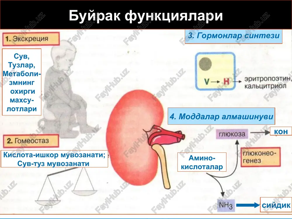 noe ‘pm oncom pean ‘pn ierowwon pean meron kanoscnoro— aganea. a cya sutensetca © momor: metog hewunopenxo. b 1 mn moun conepwaren: pejoyrros ‘pmrpoupron: ‘sninapen ‘merton wrepuresimepa— manb6nna. 81 mimo conepmorten axon pre reicesines (0-3 enone sponta oz» »» 12>» » eqnnrsnie @ npenapare oreyrerepor orcyrerayer he gonee 50.000» 1 wn ‘movesan nvcnora, ypare, oxcanarst ‘auopebnie occhares, movenucnsih ammor, tpanensipocthar {80 2.000 000 (2 t0%/cyr) > 1.000.000 (1. 108eyr) » 20000 (2. 10meyr) re 4000 > 1000 0-1 ha 4 xameper nagevera (0r0 0200 cundpom xpomrecxonh nouremon nedocmamounoenn (xth)- amuosomun u namorenes ‘drmomotas ( ochodheie tpyimei sthomothyeckek ()aktopos) 3agoneraws, spotexavoune ¢nepswan ropakehneh nowek -xdohe ci thowe5hone gr, cacnpo mporpecemyoupa rome yd pit bagonerauns, npotexavouve cnedswaht nopakehmem kanaimed nurepernina -xponew cute axe od, ore dothag nsh ae bdi osemyervsnnte ved)ponarin tos xanexing comeau, nagpoxe 603, omzo%e ownage sire myo} currenad tleppwsnste nopaxenns cocygox rise provasecras gomedm, creuns nose ‘anse cecynne audvone …