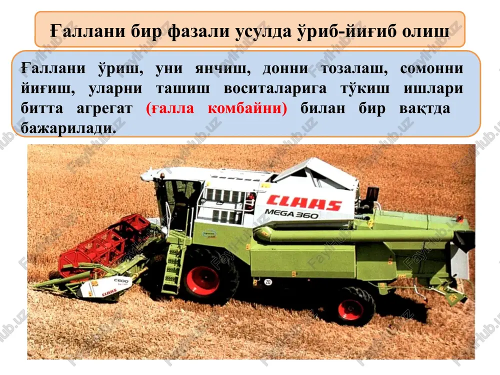an 2 %; -bunkerdagi donning tozaligi, eng kamida 3 % bo'lishi kerak g'alla kombaynlarining vazifasi, tuzilishi va ishlash jarayoni. kombayn (ing. combine, aynan-birikma)-bir vaqtning o'zida bir qancha operatsiyalarni bajaradigan muayyan texnologik protsessning bajarilish tartibida joylashgan ish mashinalarining majmui. g'alla o'rish kombayni – poyalarni o'radi, boshoqlarini yanchadi va donlarni tozalaydi yoki qatorga uyumlangan g'allani yig'ishtiradi, boshoqlarni yanchadi va donni tozalaydi. qirqirgan poyalar oqimining yanchish apparatiga borishi uchun harakat yo'nalishiga qarab: egri oqimli g-simon va t- simon, ko'ndalang to'g'ri oqimli, bo'ylama to'g'ri oqimli. yanchish apparatining soniga qarab bir barabanli va ikki barabanli. yanchish apparatining tuzilishiga qarab barabanli va rotorli bo'ladi. yurish qismining tuzilishiga qarab g'ildirakli, yarim zanjirli va zanjirli kombaynlar bo'ladi. zamonaviy g'alla o'rish kombaynlari va ularning foydalanish ko'rsatgichlari “keys – 2366” g'alla kombayni. “klass – dominator - 130” g'alla kombayni. № firma-larning nomi kombaynlar turi va rusumlari qamrash kengligi (vm),m kinematik uzunligi (lm),m mas-sasi (gm),kn konstruktiv kengligi (dk),m nisbiy qarshiligi km …