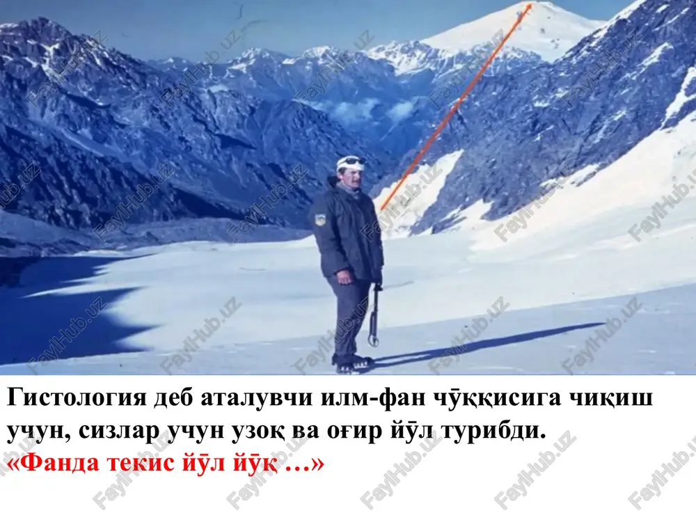 zma va yadrodan iborat bӯlib, tirik organizmlarning tuzilish, rivojlanish va hayotiy birligi hisoblanadi. hӯjayra uchun 5 xususiyat xos: ma'lum tuzilish organizatsiyasi. atrof muhit bilan modda almashinuv jarayoni. doimo ӯzini yangilash va yaratish xususiyati. tashqi ta'sirni qabul qilish va qӯzg'alish xususiyati. - harakat. gomologik tuzilishi inson organizmida taxminan100 trillion hӯjayra bor oddiy hӯjayra inson va hayvon organizmida yadro va tsitoplazmadan iborat bӯlib, atrof muhitdan biologik membrana bilan ajralgan. taxminan 200 xil. hujayra hajmi 4 – 150 mikron. hujayradan hosil bӯladi: - hujayradan keyin tuzilmalar (eritrotsit, terining muguzlanuvchi qismi), hujayradan yuqoridagi tuzilmalar (simplast, sintsitii). - hujayralararo modda (amorf modda va tolalar). miosimplast kӯndalang targ'il skelet mushak tӯqimasi hujayralararo modda siyrak biriktiruvchi tӯqimada hujayraning tuzilishi hӯjayra inson organizmida yadro va tsitoplazmadan iborat bӯlib, atrof muhitdan biologik membrana bilan ajralgan. tsitoplazma – gialoplazma, organella va kiritmalardan iborat. hujayra biologik membrana yordamida qismlarga (kompartment) bӯlingan. universal biologik membrana zamorajivanie – skalivanie suyuq – mozaik modeli …