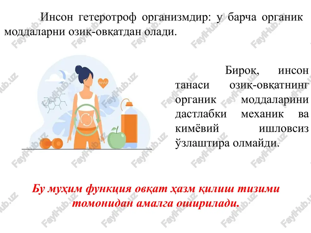 i barcha fermentlar 4 ta asosiy guruxga bo'linadi . ; ; nukleazi rassheplyayut nukleinovie kisloti; proteazi rassheplyayut belki. v rezultate rasshepleniya pitatelnix veshestv obrazuyutsya monomeri, kotorie vsa­sivayutsya iz kishechnika v krov i limfu, transportiruyutsya k tkanyam organizma i vklyuchayutsya v ego metabolizm. voda, mine­ralnie soli i vitamini vsasivayutsya v krov neizmenyonnimi. fermentativnaya aktivnost svoystvenna kajdomu otdelu pi­shevaritelnogo trakta i maksimalna pri opredelyonnom znachenii rn sredi. tak, v jeludke pishevaritelniy protsess osu­shestvlyaetsya v kisloy srede, a v dvenadtsatiperstnoy kishke jelch i podjeludochniy sok sozdayut neytralnuyu ili slaboshelochnuyu sredu, i jeludochnie fermenti perestayut rabotat (inaktiviruyutsya). ovqat hazm qilish fermentlari lipazalar yog'larni parchalaydi barcha fermentlar 4 ta asosiy guruxga bo'linadi ovqat hazm qilish fermentlari nukleazalar nuklein kislotalarini parchalaydi barcha fermentlar 4 ta asosiy guruxga bo'linadi ovqat hazm qilish fermentlari proteazalar oqsillarni parchalaydi barcha fermentlar 4 ta asosiy guruxga bo'linadi oziq moddalarning parchalanishi natijasida monomerlar hosil bo'lib, ular ichakdan qon va limfaga so'riladi, organizm …