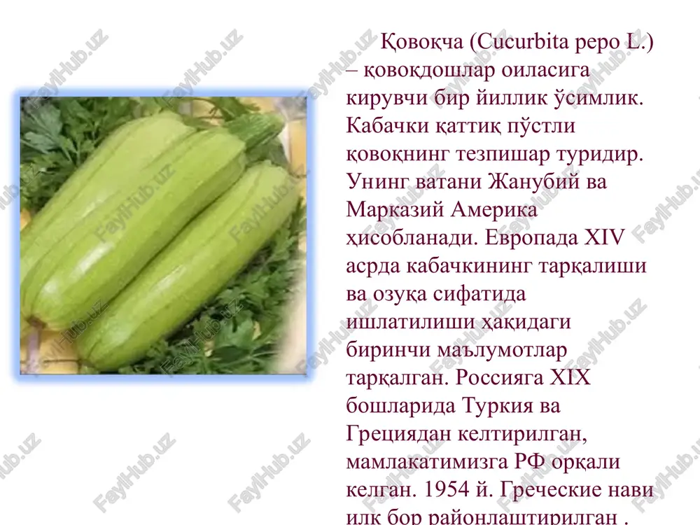 10 sm bo'lgan tuvaklarda etishtiriladi. ko'chatni etishtirish uchun urug'larni oldindan suvda bo'ktirib, ikki donadan bir-biridan uzoqroq qilib tuvakka ekiladi. urug'larni qovoqcha kabi gorizontal holatda ekilib, oziqa aralashmasi sepiladi. keyinchalik bitta o'simlik ortiqcha bo'ladi va uni sug'irib olmasdan kesib tashlash zarur. plyonkali issiqxonalarda etishtirish qovoqchani etishtirishda eng ertagi mahsulotlar olish plyonkali issiqxonalarda amalga oshiriladi. biroq shuni yodda tutish lozimki, bodringdan farqli ravishda qovoqchalarni muntazam shamollatib turish lozim, chunki yuqori namlikda meva tugmaydi yoki tugunchalari chirishi kuzatiladi. ko'chat ekish muddati issiqxonani isitish usuliga bog'liq. issiqxonani texnik uskunalar (issiqlik generatori, uchoq) yordamida isitish bilan ko'chatlarni fevral oyining oxirida, quyosh issiqligi yordamida isitish bilan esa martning ikkinchi o'n kunligida ekish mumkin. ko'chatlarni ekish sxemasi issiqxona maydoniga bog'liq. 100-120x50-80 sm bo'lishi mumkin. issiqxonada havo harorati kunduzi 23...27°s, kechasi 15...20°s, nisbiy namlik - 60-70% bo'lishi lozim. parvarishlash sug'orishni, oziqlantirishni, o'tashni va erni yumshatishni o'z ichiga oladi. sug'orish ishlari xaftada bir marotaba bajariladi, oyda ikki marta esa …
