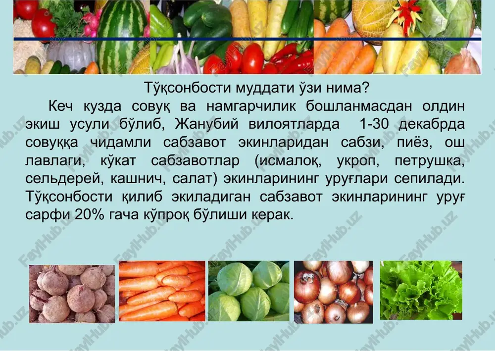 y viloyatlarida 15-30 dekabrda ekiladi. ekish sxemasi: 20x50sm va 40x40+60 sm. ekish me'yori: 4-5 kg. ekish uchun tavsiya etiladigan navlar: ukropning orom, anet, aligator, xarkovskaya 85, kashnichning orzu, yantar, seldrey, serbarg, otquloq shirokolistniy, ismaloq nafis, salatni ko'k shox, aysberg va fiorett, rukolani gretsiya, petrushkani nilufar, saxarnaya, novas. o'g'itlash: sof xolda azot 100 kg/ga, fosfor 150 kg/ga, kaliy 75 kg/ga. sug'orish: jami 5-6 marta, gektariga 450-500 m3 me'yorida suv beriladi. parvarishlash: urug'lar unib chiqqandan so'ng egat orasi yumshatiladi va bir marta o'g'it beriladi. vegetatsiya davri: 45-50 kun hosil pishishi: mart-aprel ukrop orom ertapishar nav, o'suv davri 40 – 50 kun. tup balandligi 25-26 sm. bargi konussimon, ignasimon, mayin, xo'shbo'y, sersuv, barg bo'laklari juda ko'p. barg bandi uzun, juda nozik, barglari va barg bandi biroz g'ubor bilan qoplangan. hosildorligi 2,0-2,8 kg/m2. kashnich orzu ertapishar nav, o'suv davri- 42-44 kun, iste'mol uchun o'suv davri 28-32 kun. tup balandligi 20-30 sm. bargi konussimon, asosan …
