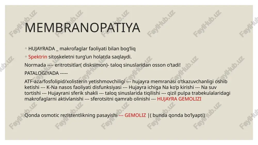 kanal 7 xolesterol sitoskelet filamentlari \ glikoprotein: uglevod birikkan ogsil membrana integral ogsillari membrana periferik ogsillari